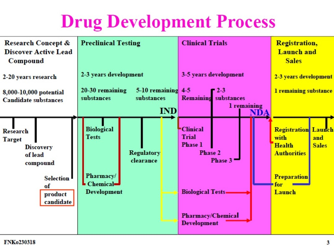 新藥研發流程概述