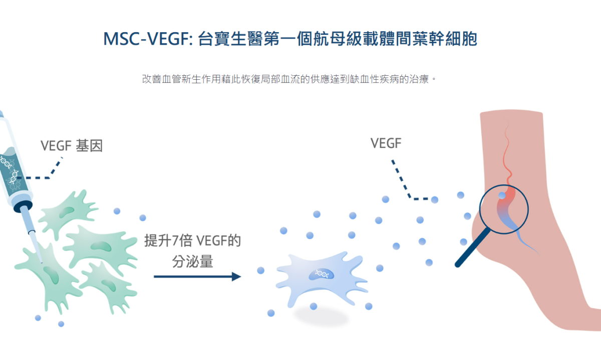 MSG-VEGF