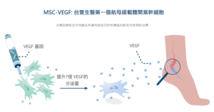 Read more about the article 台寶生醫次世代細胞新藥 MSC/VEGF 申請美國一期臨床試驗