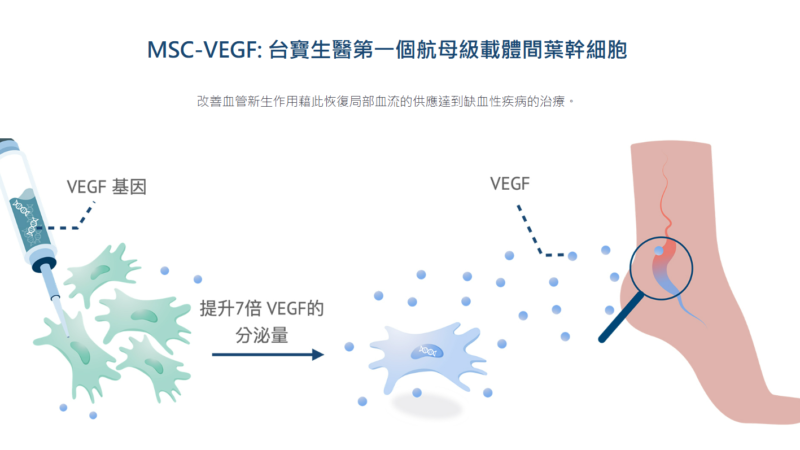 台寶生醫次世代細胞新藥 MSC/VEGF 申請美國一期臨床試驗